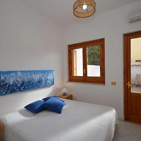 Ulivo * San Vito Lo Capo